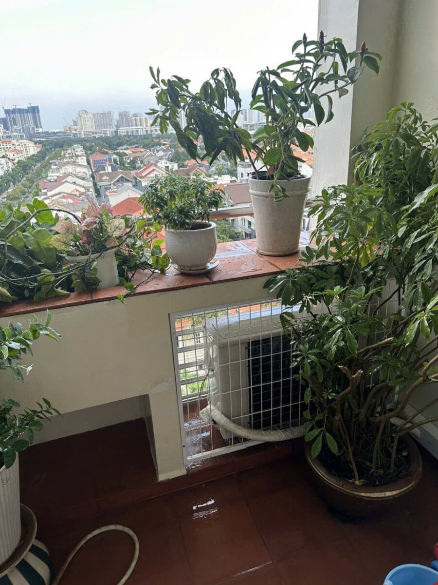 cho thue can ho park view 3 - Cần cho thuê căn hộ Park View Phú Mỹ Hưng. DT 107m2 Thiết kế 3 Phòng-2wc- Lầu cao- Giá 23 Triệu/Tháng