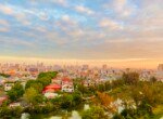 cho-thue-can-ho-sky-garden-3 (10)