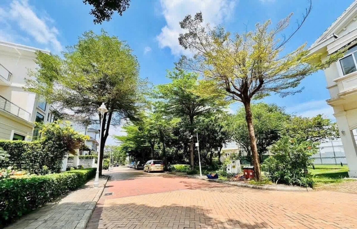 duong noi khu chateau villa - Giá mua bán nhà Biệt thự lâu đài Chateau phường Tân Mỹ T8/2026