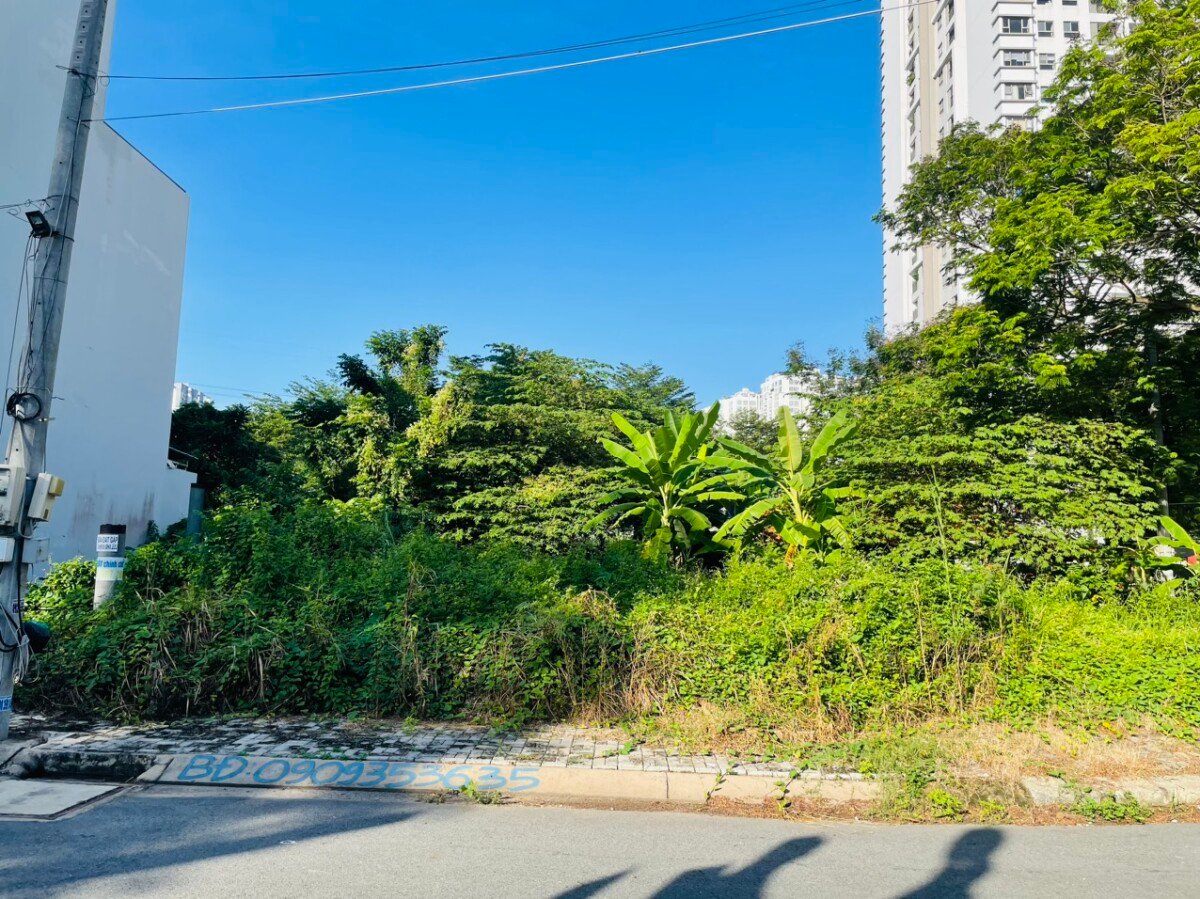 hinh anh mua ban dat nen kdc tan an huy nha be t8 2026 - Chủ giảm giá bán gấp đất nền Biệt thự E4 KDC Tân An Huy Nhà Bè t8/2026