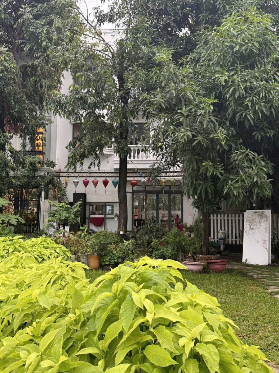 nha ban lien ke cong vien - Giá mua bán nhà Biệt thự 4pn Nội khu Nam Thiên 1 phường Tân Hưng T8/2026