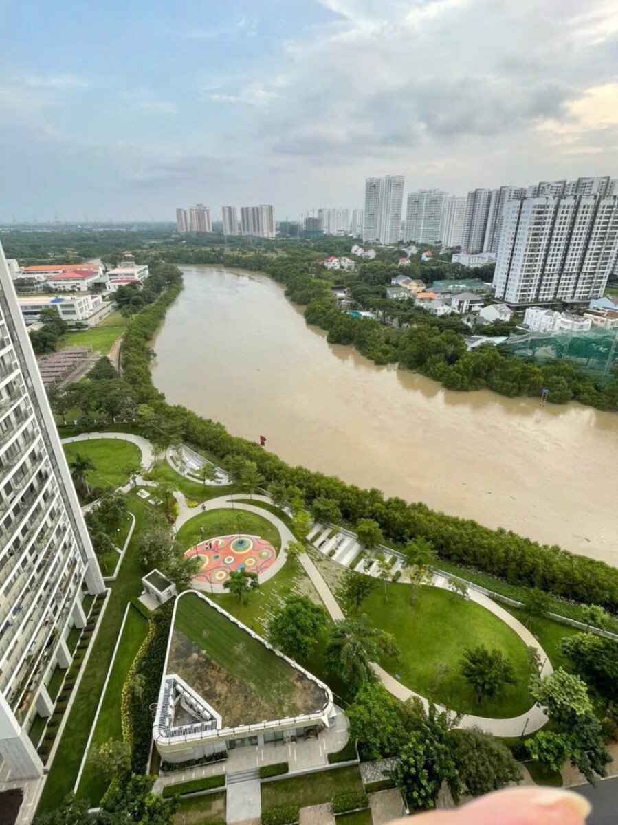 vi tri can ho lien ke song - Giá cho thuê căn hộ 3pn chung cư Riverpark Residences phường Tân Hưng T8/2026