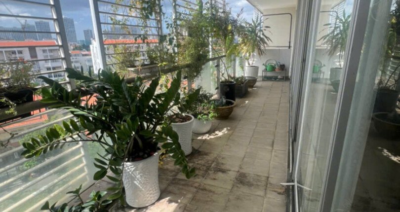Giá mua bán căn hộ 3pn tòa C chung cư Garden Plaza 1 phường Tân Hưng T9/2026