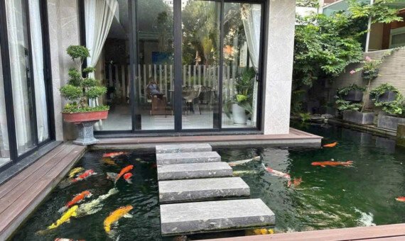 ho ca koi trong san vuon nha 570x340 - Trang chủ