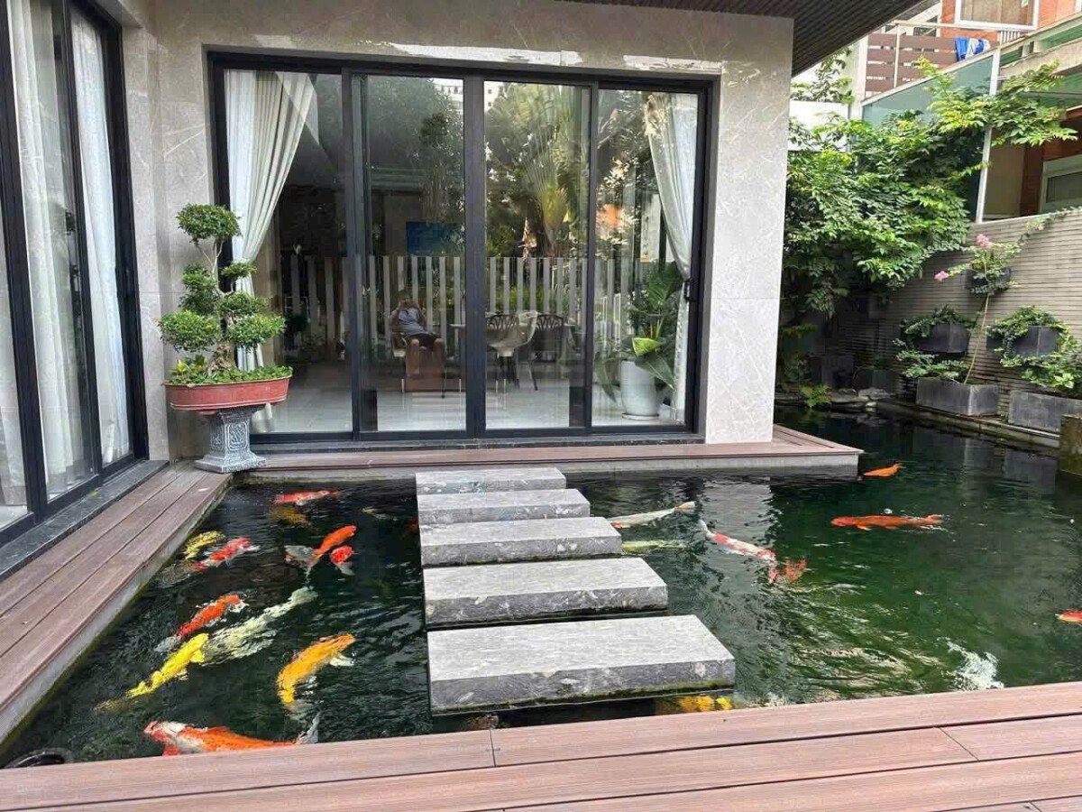 ho ca koi trong san vuon nha - Giá cho thuê nhà Biệt thự nguyên căn 5pn Nội khu Phú Mỹ Hưng T9/2026