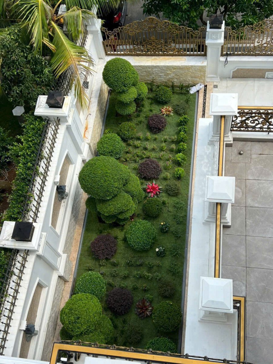 san vuon ben hong nha ban 1 - Giá mua bán nhà Biệt thự 5pn kdc Cityland Riverside phường Tân Mỹ T9/2026