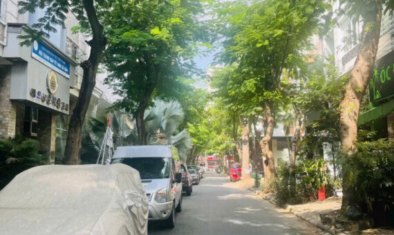 duong noi khu hung gia 2 570x340 - Trang chủ