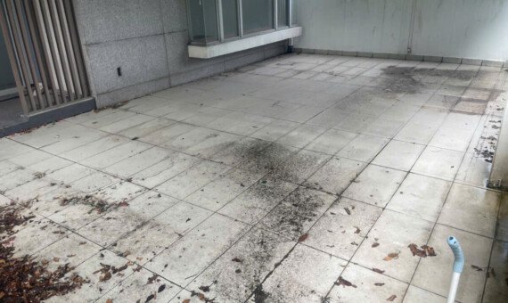 san vuon truoc nha cho thue 570x340 - Trang chủ