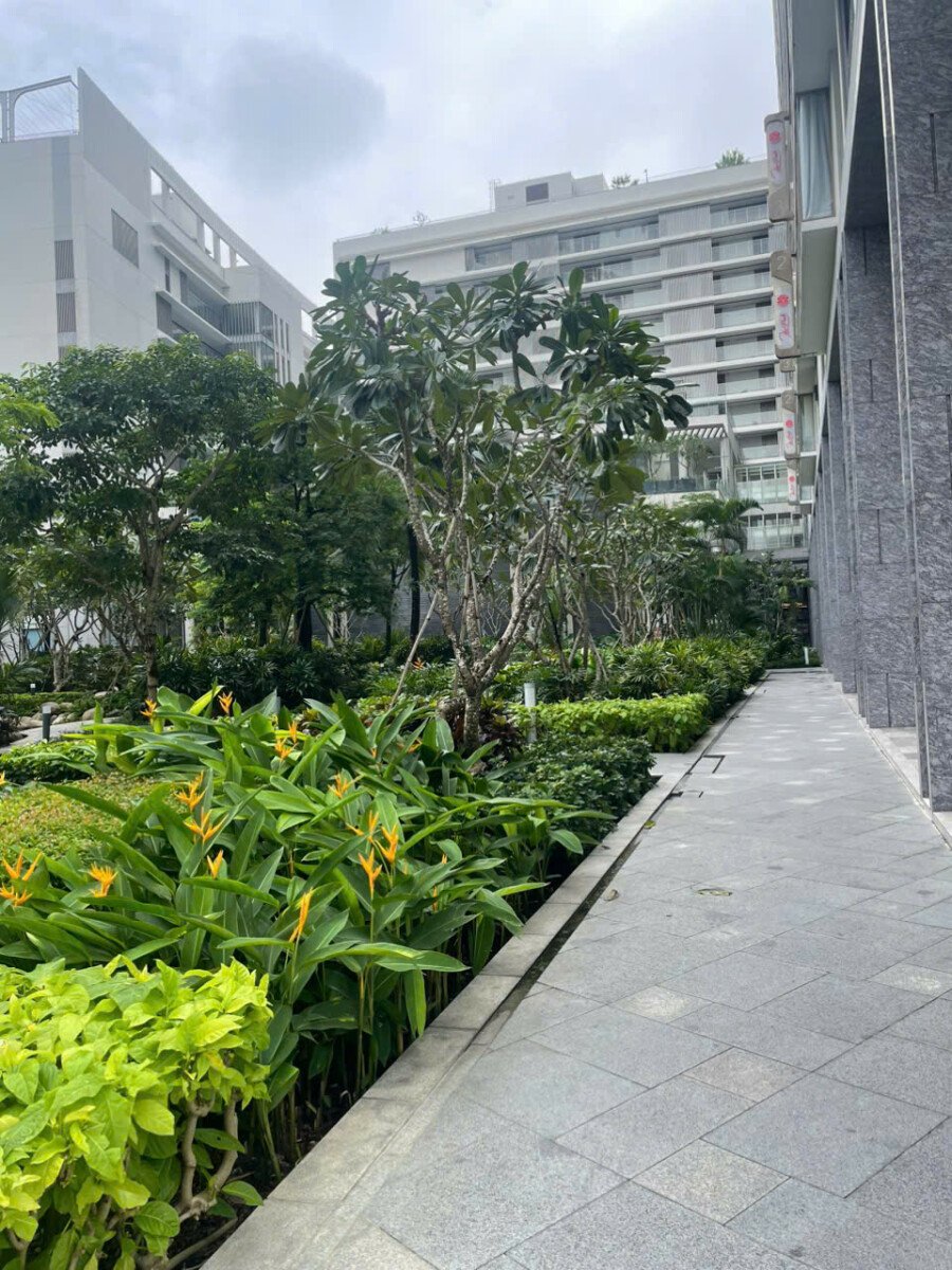 shophouse cho thue lien ke cong vien noi khu - Giá cho thuê Shophouse khối đế chung cư Midtown m8b phường Tân Mỹ T10/2026