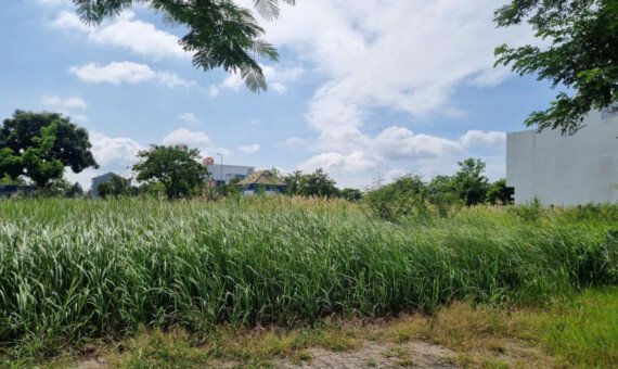 vi tri dat nen ban 570x340 - Trang chủ