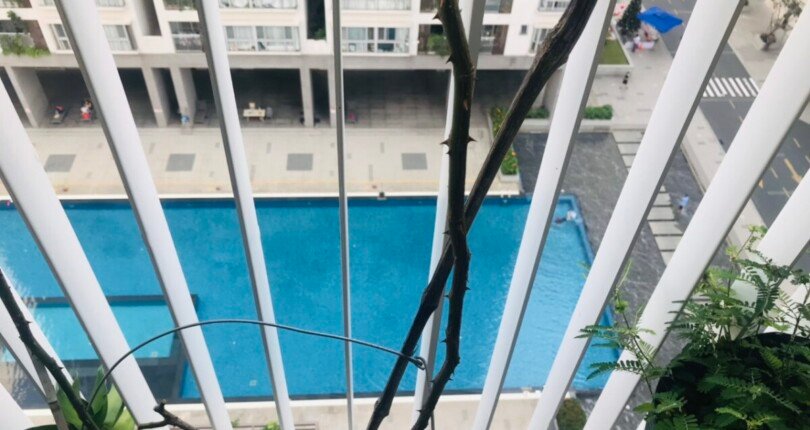 Bán gấp căn hộ 2pn số 01 tòa D chung cư Scenic Valley 1 phường Tân Mỹ giá 7,4 tỷ